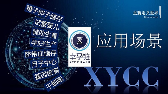 2018全球区块链接技术应用论坛XYCC幸孕链项目大放异彩