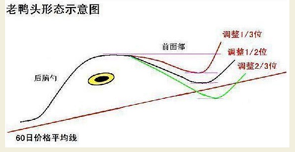 FiAVCoToEtVt48mWccwx-4kNI2Ur.png?w=586&h=303