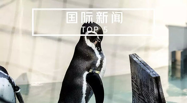 109f2e332161815960b984854e34a762