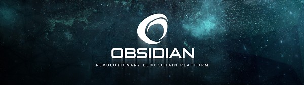 Obsidian确保聊天的隐私和安全