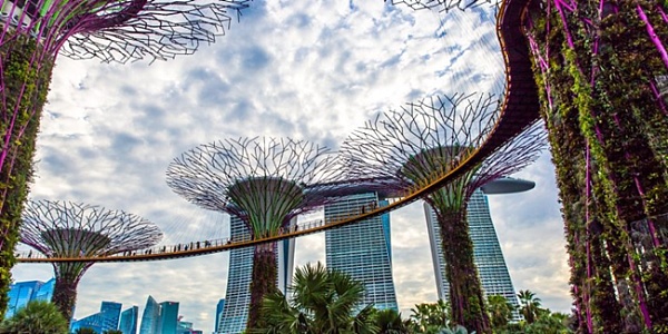 新加坡税务机关提议将加密货币交易从商品和服务税(GST)征税范围中移除