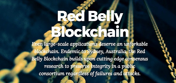 Red Belly Blockchain Red Belly Blockchain