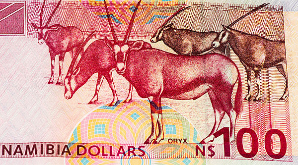 纳米比亚中央银行：法律规定购买比特币违法