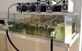 youleng - 【十一】挖矿行业生态-矿机服务