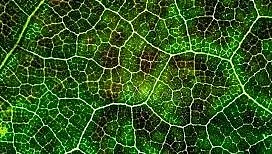 640?wx_fmt=png&tp=webp&wxfrom=5&wx_lazy=1&wx_co=1