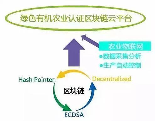 区块链+智慧农业：山东和鲜生农业科技有限公司现代农业区块链改革典范