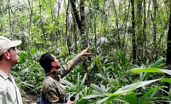 640?wx_fmt=jpeg&tp=webp&wxfrom=5&wx_lazy=1&wx_co=1