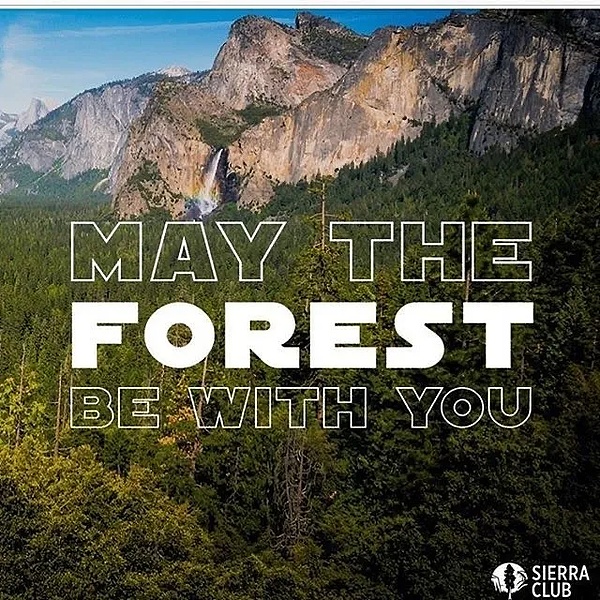 640?wx_fmt=jpeg&tp=webp&wxfrom=5&wx_lazy=1&wx_co=1