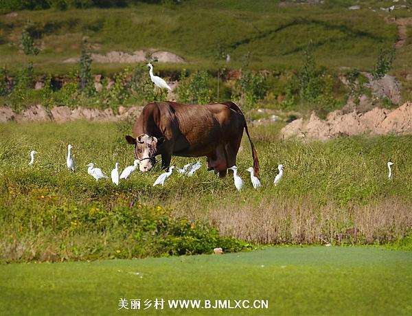 风水轮流转-币圈牛市不只是比特币的狂奔