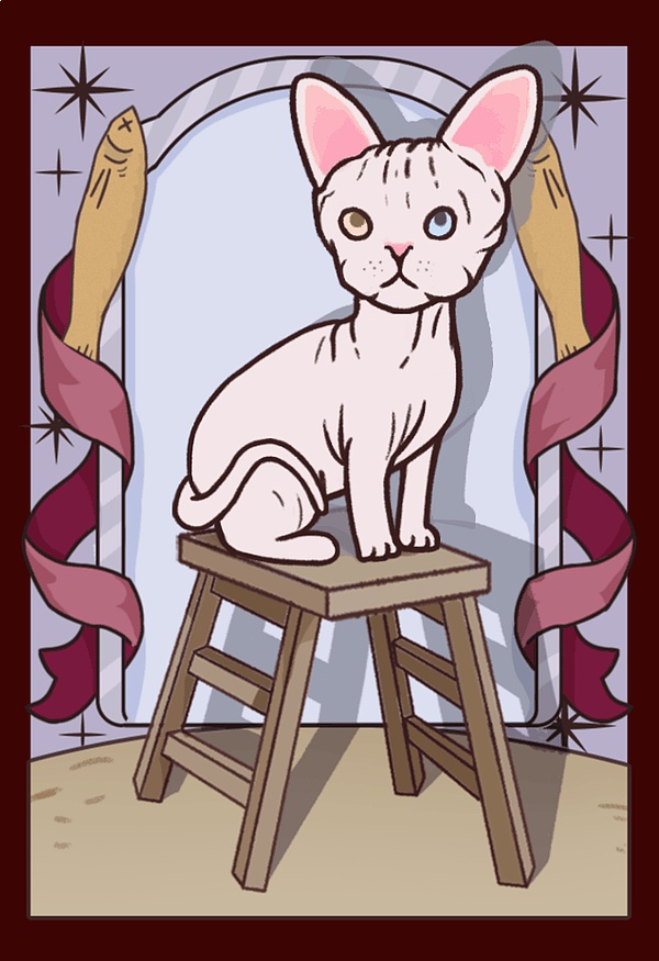 《白斯芬克斯猫和它的凳子》