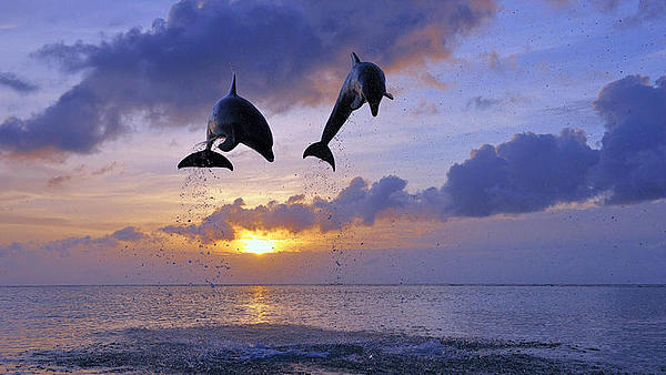 科普 | 进入币圈你需要知道的50个区块链术语(下)