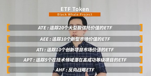 【Zebra投研报告】项目简报-BLK whale（BLK）