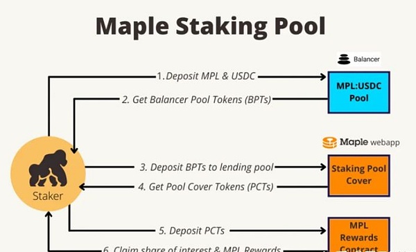 UST带崩了整个DEFI，其他的没有值得关注的吗？