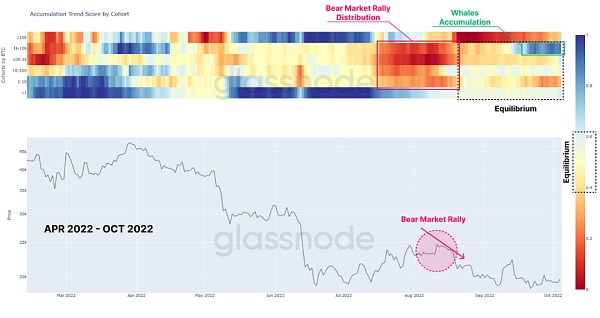 Glassnode数据洞察：暴风雨前的平静