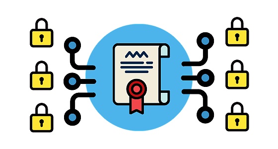 初学者指南：全面了解智能合约的开发生命周期