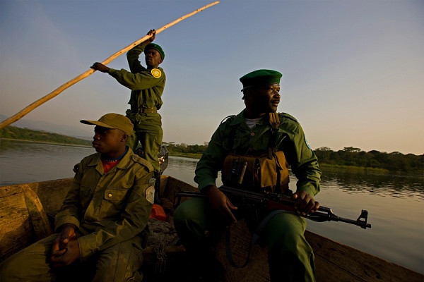 MIT 特稿：为什么比特币成为刚果国家公园的“救世主”