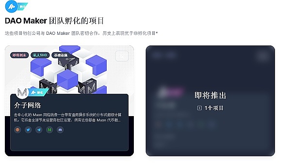 DAO Maker都极其重视的项目Muon Network