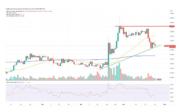 XRP 接近 0.50 美元关键水平时的 XRP 价格预测——接下来会发生什么？