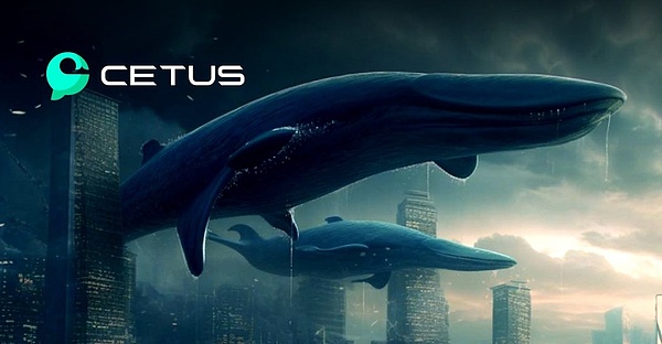 Cetus突破天际线!奇迹登陆支撑,为何Cetus引领财富风潮？