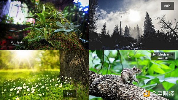 AI 与区块链的融合：迈向 Nature2.0