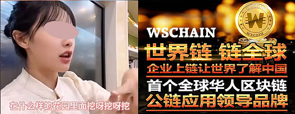 WSC世界链 - 挖呀挖呀挖