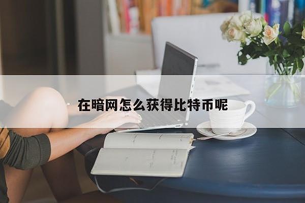 在暗网怎么获得比特币呢  第1张