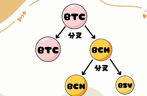 BCH爆空狂涨  本月最有潜力的加密货币  你有上车了吗？