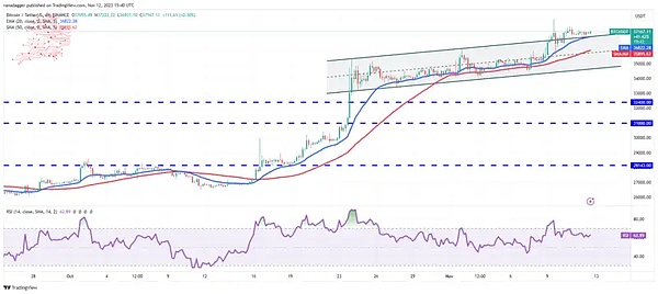 随着比特币交易价格超过 3.7 万美元 多币显示看涨趋势