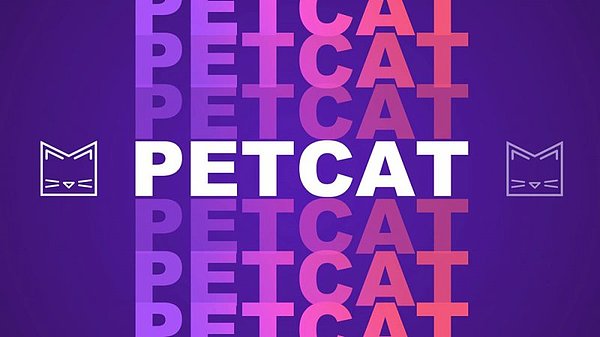 PetCat携手Lightspeed Venture Partners 标志着Web3 NFT社交领域的新篇章