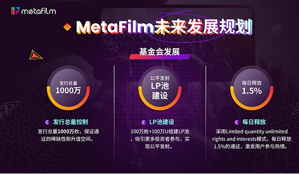 MetaFilm，一颗引领数字时代璀璨新星，