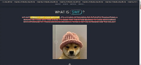 暴富神话再现!WIF暴涨万倍因它像狗狗币?Meme上涨最大的赢家!
