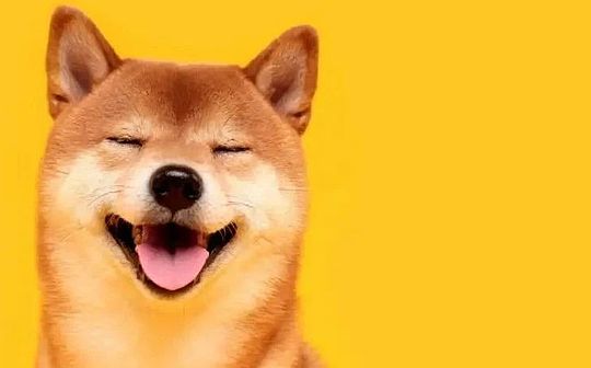 Doge may become the future of all trade and commerce in the world feature image