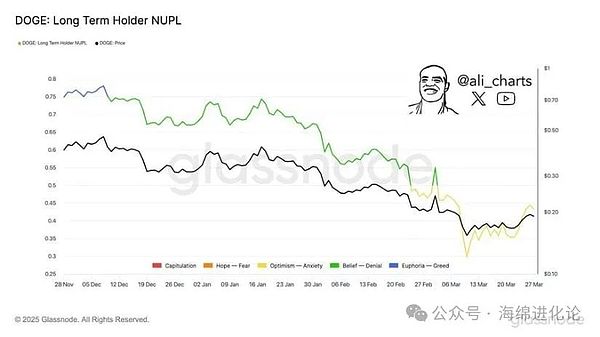 狗狗币 (DOGE) 持有者日益焦虑，可能预示着波动性即将来临