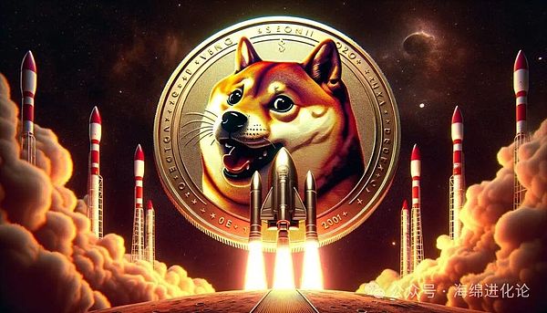 狗狗币火箭
