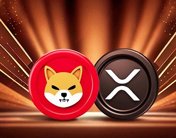 柴犬 Shib Ripple XRP