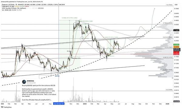 狗狗币技术分析