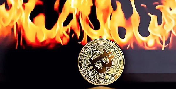 7376781 qd986uI3rV2TAVImHfUQKrx904JNF1Fe1lbvxshG.jpeg