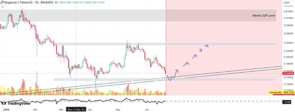 get?code=YzJlYzg3OTQ4NjAzMzA2MDllMjFkYTVlZDkwYTZmYWIsMTc1MDY2MjI4Nzc5OQ==