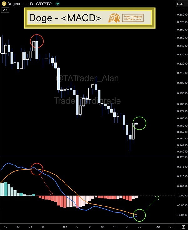 get?code=MzgxZTljNTk2YjYyMWE3NDUxZDBlYmUxZDk0YmFhMmIsMTc1MDkwNDQyNDU0MQ==