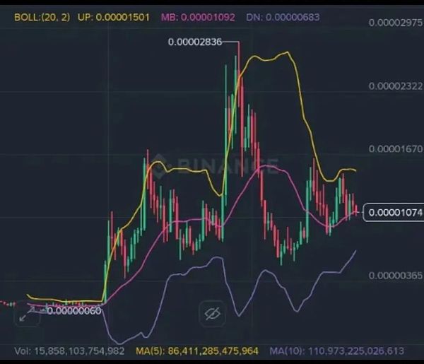 大饼跌到 11.2 万 抄底时机将至 以太坊难独撑大盘 DOGE、PEPE、LTC 底部策略全解析