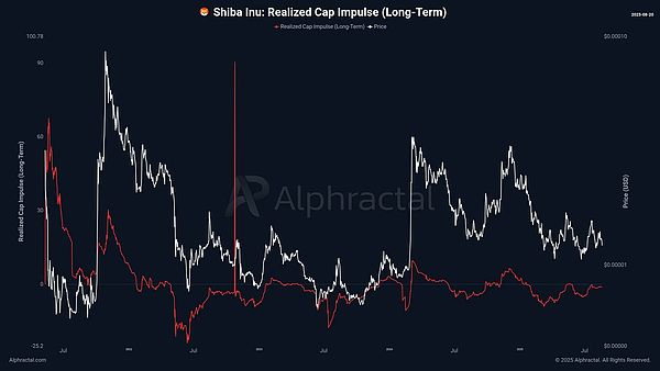SHIB短线反弹信号亮起：成交量1.2万亿、多头押注125%涨幅