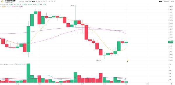 8亿美元爆仓袭来---BTC震荡洗盘、DOGE有望开启三倍上涨狂欢