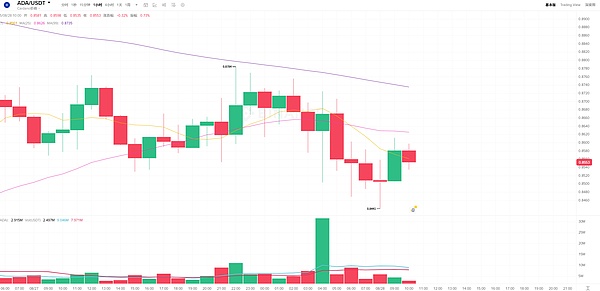 Solana/Cardano 双雄发力：智能资金涌入、价格拐点即将来临？