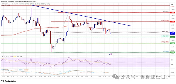 XRP价格预警：近期疲软后更大幅度的回调即将到来