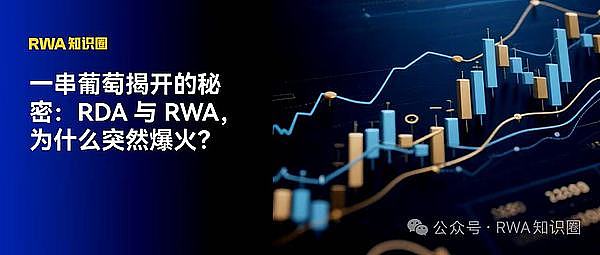 一串葡萄揭开的秘密：RDA 与 RWA 为什么突然爆火？