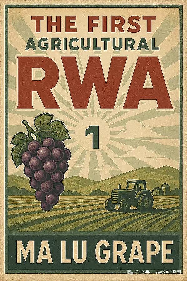 一串葡萄揭开的秘密：RDA 与 RWA 为什么突然爆火？