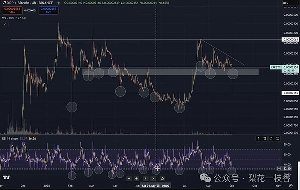 沉睡的巨鲸觉醒分析师：XRP将引爆下一轮暴涨行情