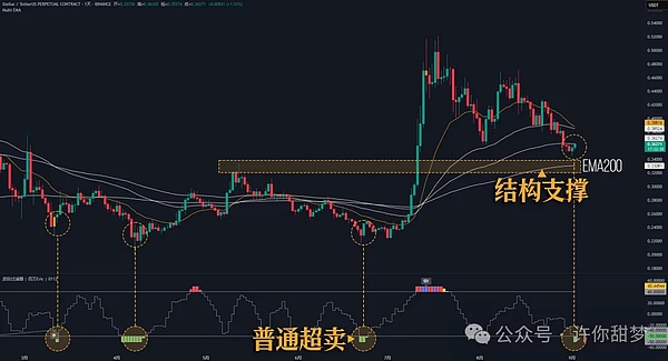 川普收割50亿 比特币逼空屠杀空头 反转还是陷阱？川普今晚讲话 币圈要变天？