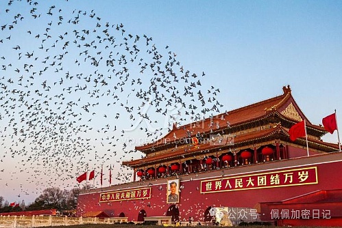 比特币滞涨是蓄力还是见顶以太坊持续疲软牛市信仰遭遇最大考验马云斥资3亿拉盘