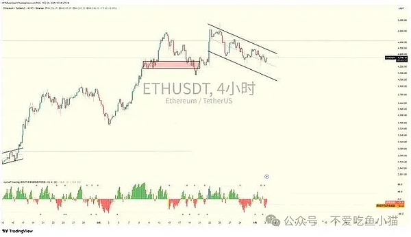 ETH 躺平 BTC 独舞？DOGE 偷偷筑底、$MDOG、$KOALA新币要成 Meme 圈黑马？